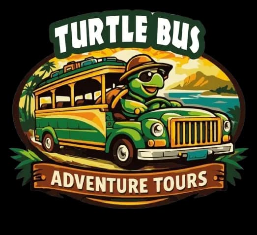 Adventure Turtle Bus