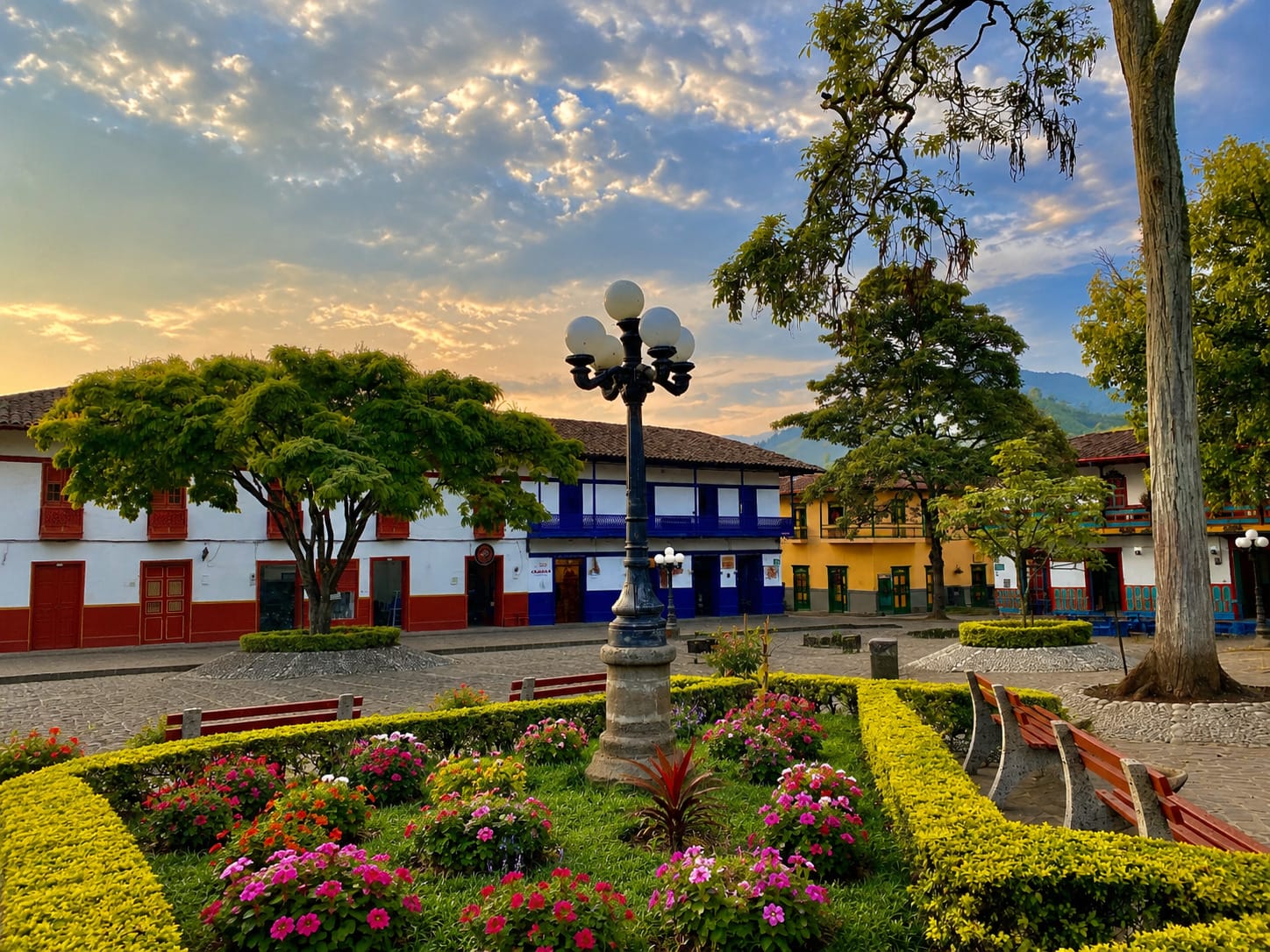 Jardín